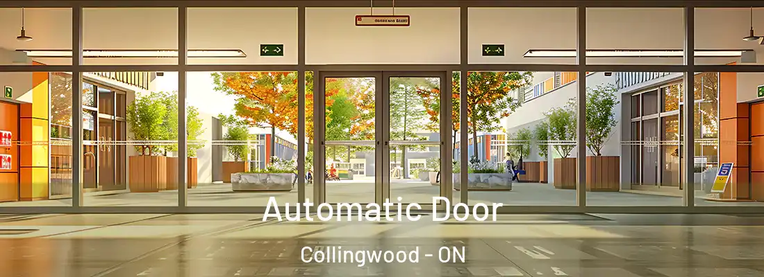  Automatic Door Collingwood - ON