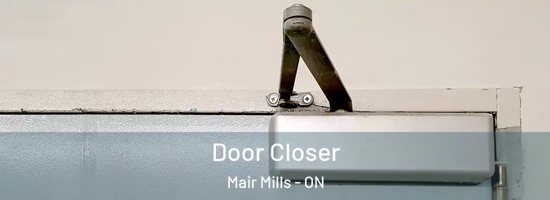  Door Closer Mair Mills - ON