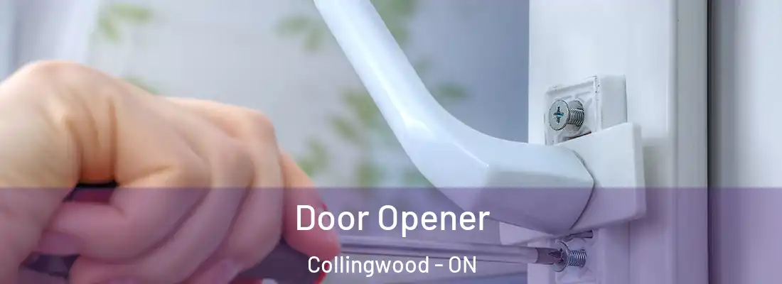  Door Opener Collingwood - ON