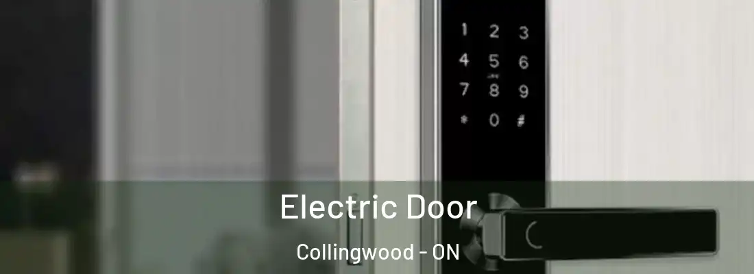  Electric Door Collingwood - ON