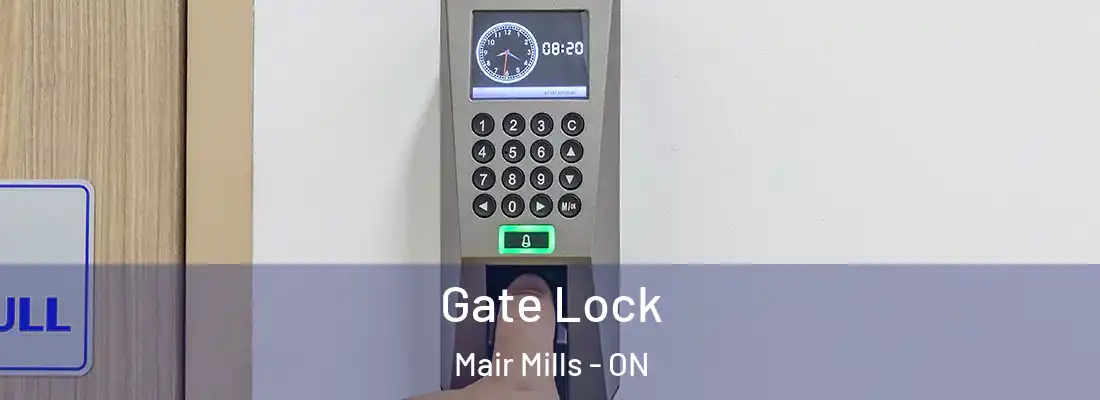  Gate Lock Mair Mills - ON