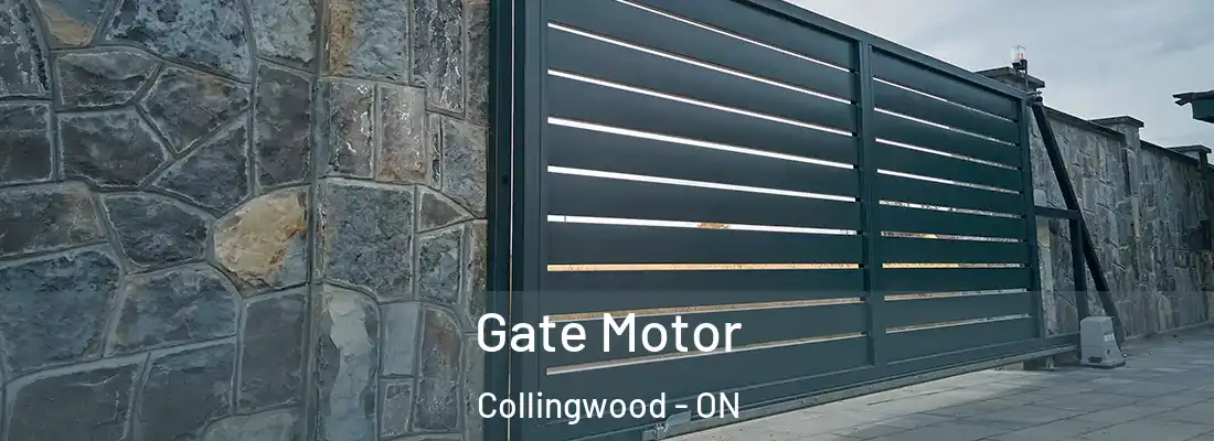  Gate Motor Collingwood - ON