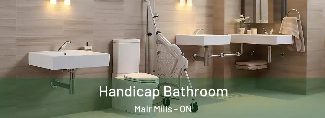 Handicap Bathroom Mair Mills - ON