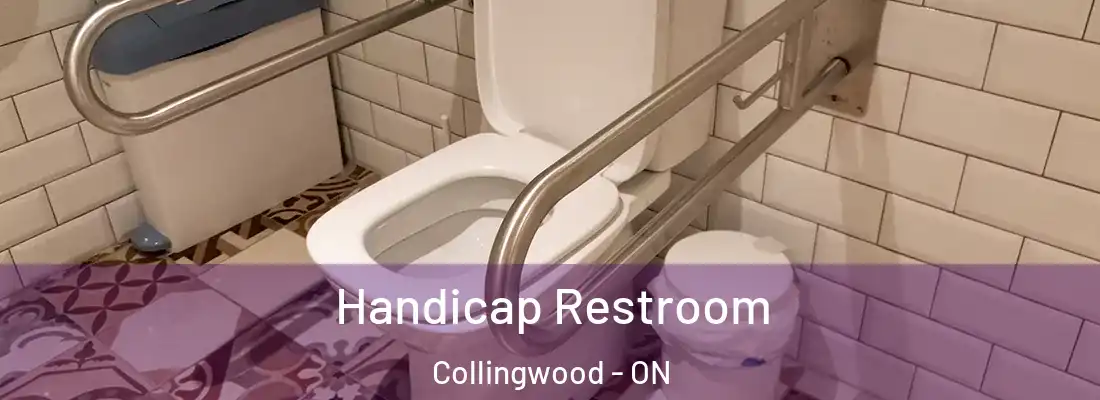  Handicap Restroom Collingwood - ON