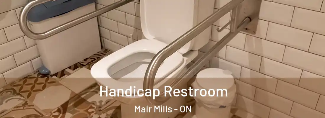  Handicap Restroom Mair Mills - ON