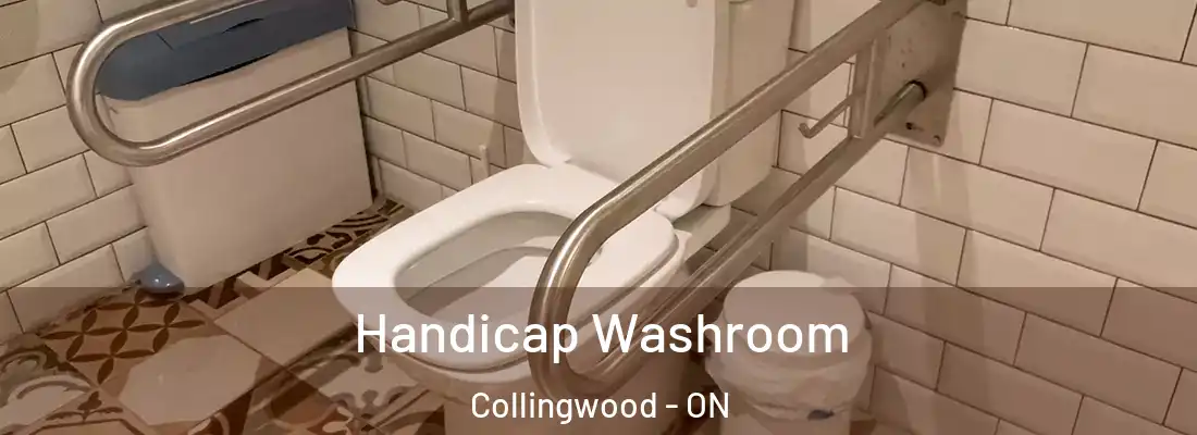  Handicap Washroom Collingwood - ON