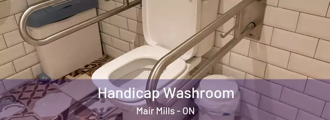  Handicap Washroom Mair Mills - ON