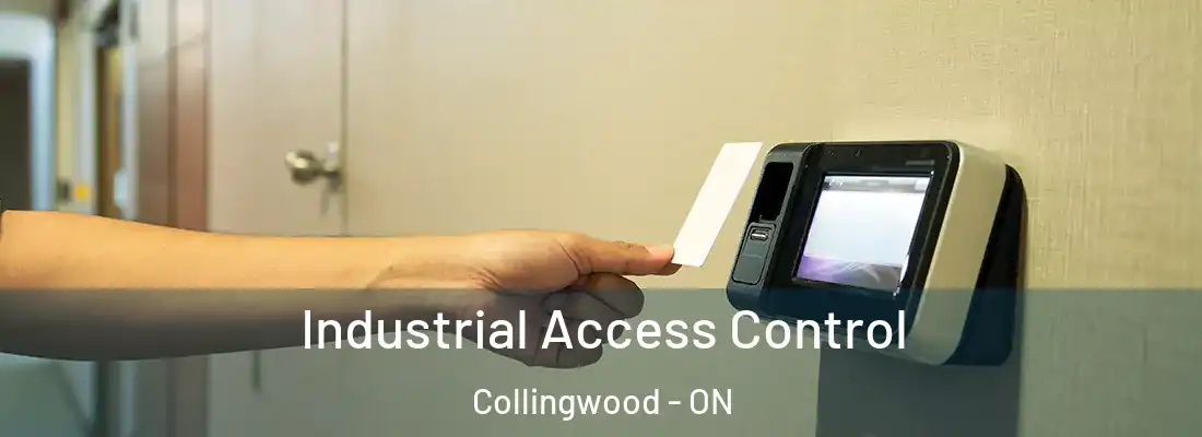  Industrial Access Control Collingwood - ON
