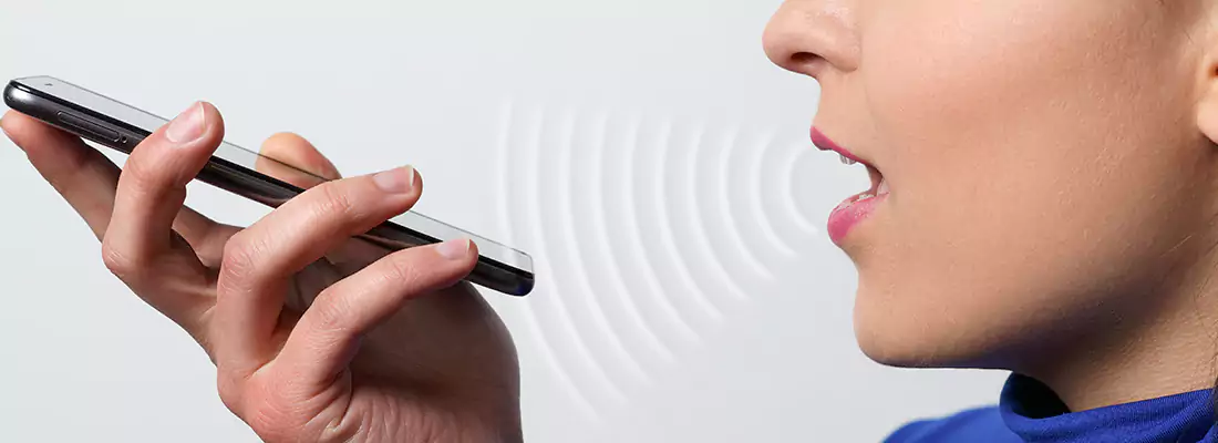 Residential and Commercial Voice Recognition Access Solutions in Collingwood, ON
