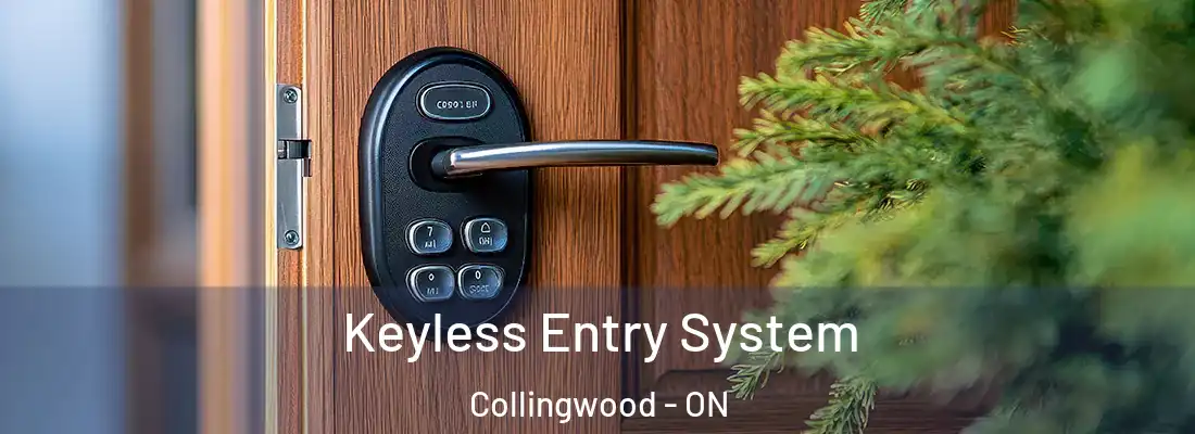  Keyless Entry System Collingwood - ON