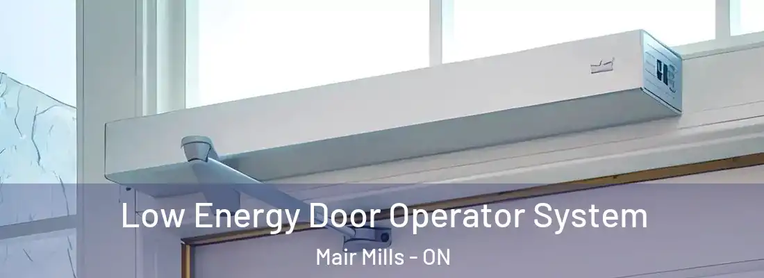  Low Energy Door Operator System Mair Mills - ON