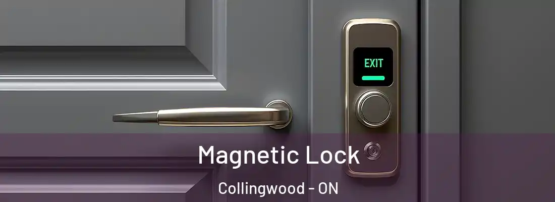  Magnetic Lock Collingwood - ON