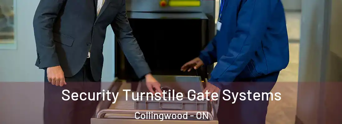  Security Turnstile Gate Systems Collingwood - ON
