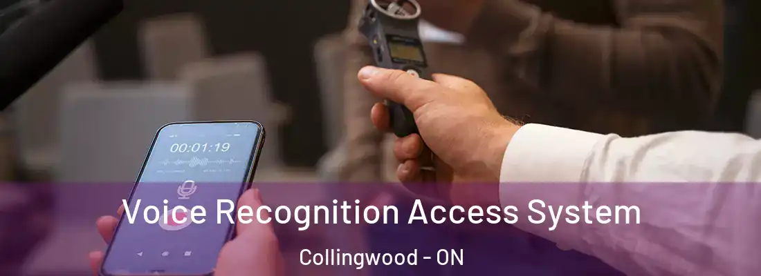  Voice Recognition Access System Collingwood - ON